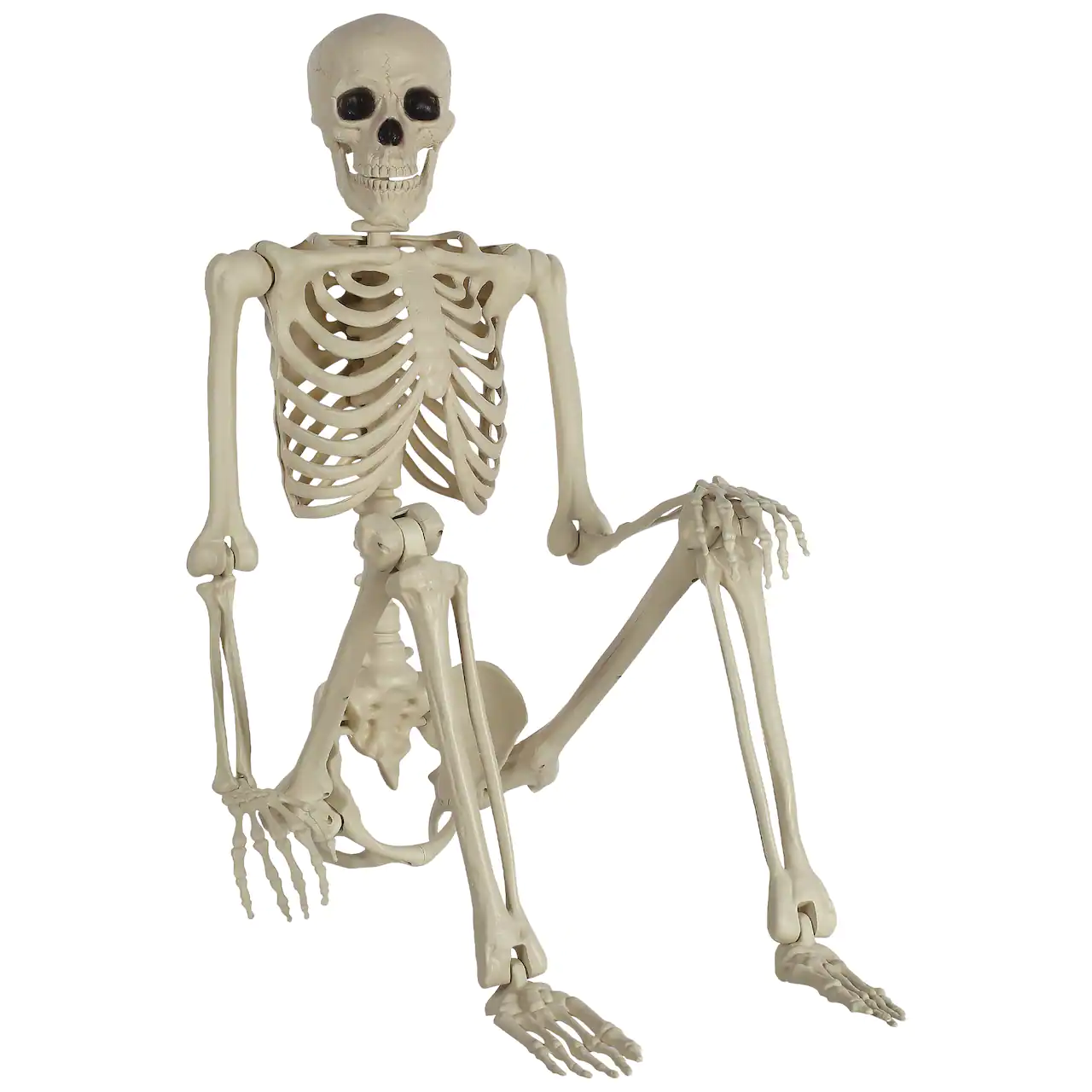 Seasons Life Size Poseable 5ft Skeleton Halloween Decoration Home n Gifts
