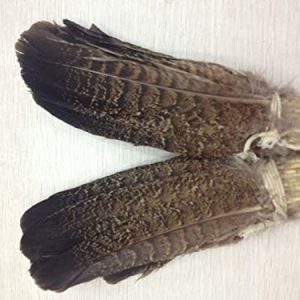 Pukido 10pcs Scare Natural Eagle Feather 15-20cm / 6-8nch Decorative DIY Collect