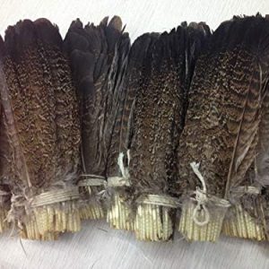 Pukido 10pcs Scare Natural Eagle Feather 15-20cm / 6-8nch Decorative DIY Collect