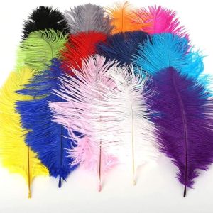 Pukido 10PCS Multi Color Natural Ostrich Feather 15-20cm Feather Fringes Trim for Wedding Dress Skirt Clothes Decoration – (Color: Mixed)