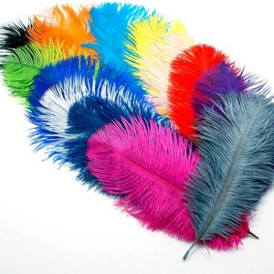 Pukido 10PCS Multi Color Natural Ostrich Feather 15-20cm Feather Fringes Trim for Wedding Dress Skirt Clothes Decoration – (Color: Mixed)